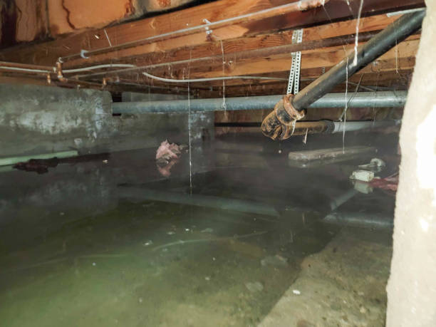 Fire Damage Restoration in Pinch, WV