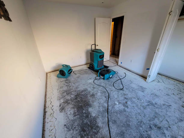 Best Fire Damage Restoration  in Pinch, WV