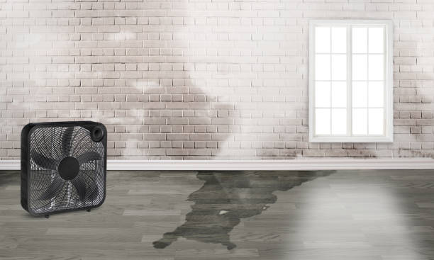  Pinch, WV Water damage restoration Pros