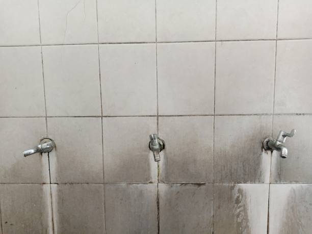 Best Commercial water damage restoration  in Pinch, WV