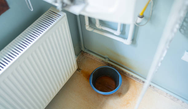 Best Ceiling water damage repair  in Pinch, WV