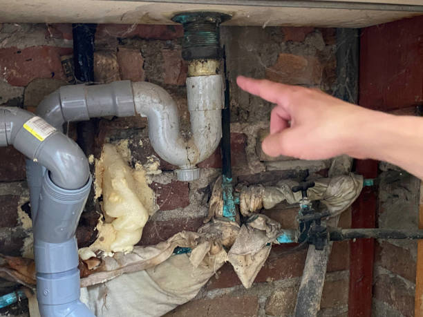 Best Sewage cleanup and water damage restoration  in Pinch, WV